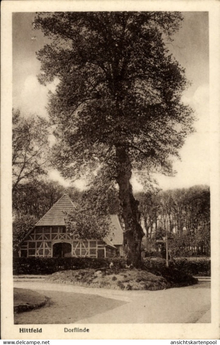 CPA Hittfeld Seevetal in Niedersachsen, Dorflinde