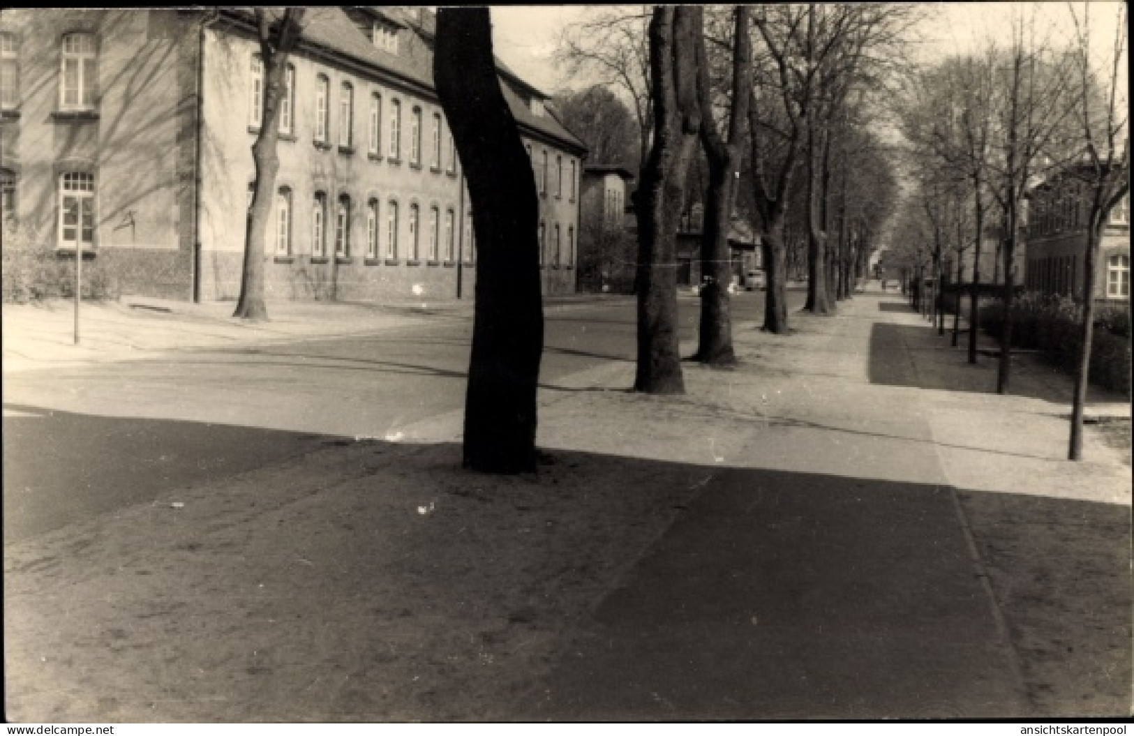 CPA Hohenlockstedt Lockstedt in Holstein, Straßenpartie
