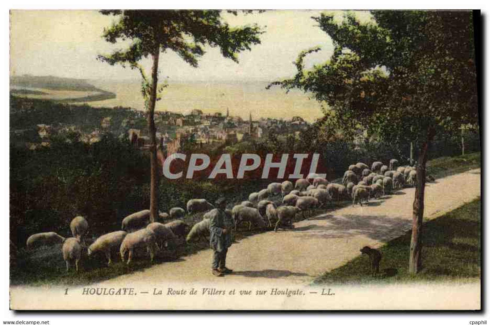 CPA Houlgate La Route de Villers et Vue sur Houlgate Berger et moutons