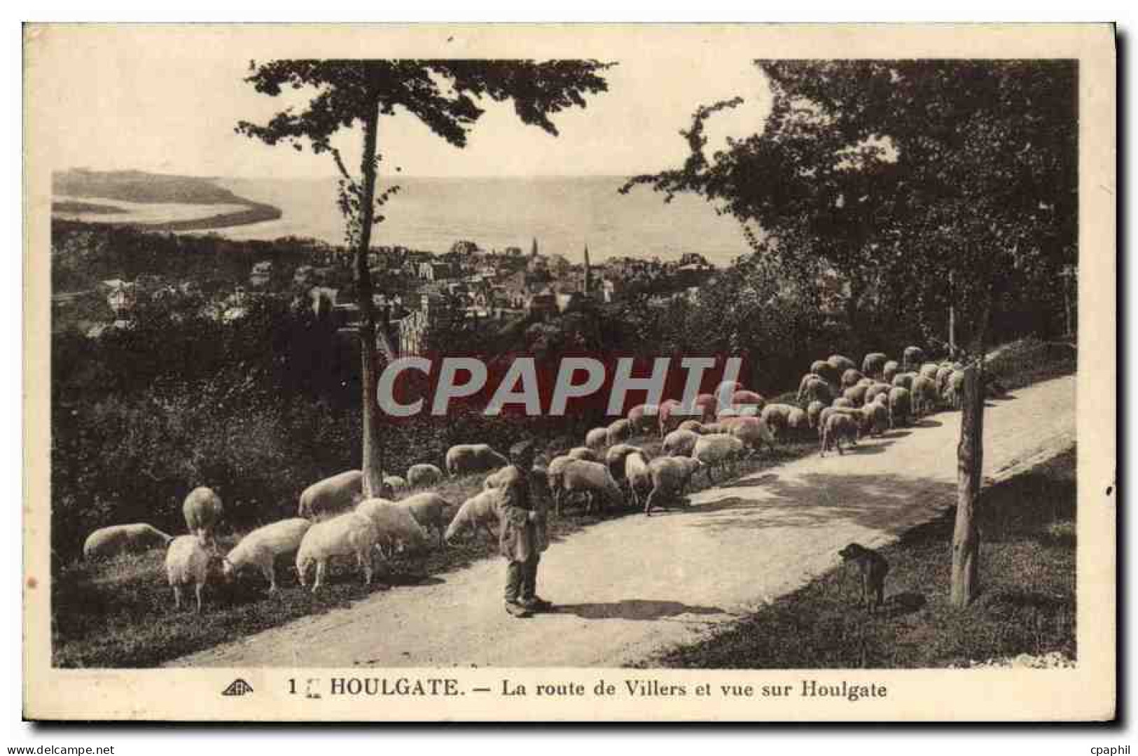 CPA Houlgate La Route de Villers et Vue sur Houlgate Berger et moutons