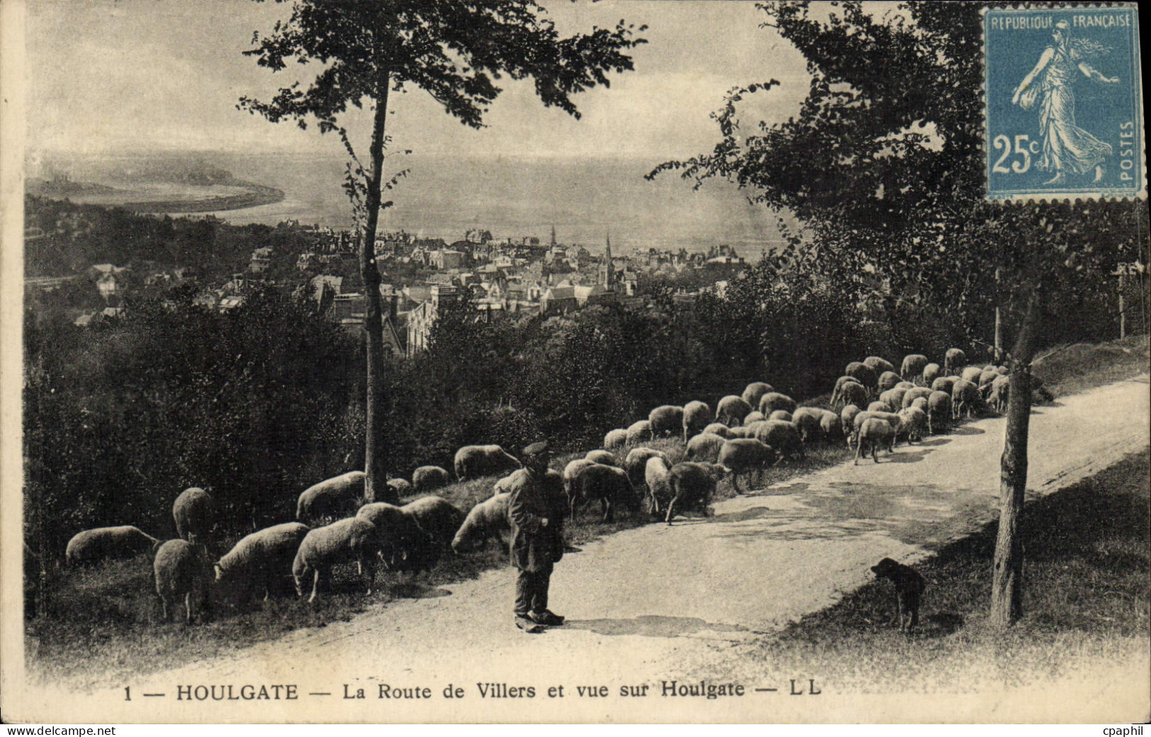 CPA Houlgate La Route de Villers et Vue sur Houlgate Berger et moutons