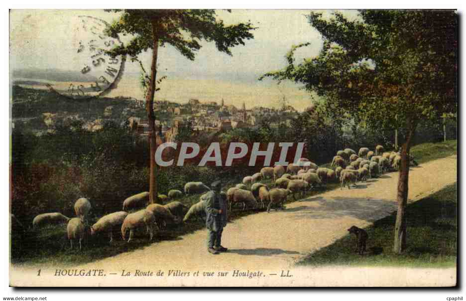 CPA Houlgate La route de Villers et vue sur Houlgate ( berger moutons )