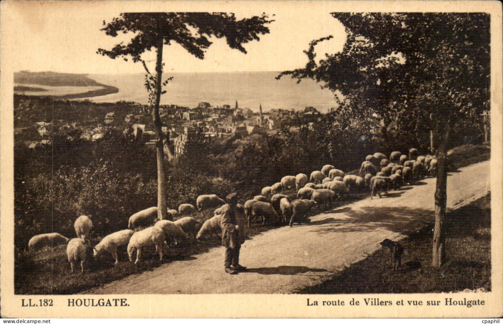 CPA Houlgate La route de Villers et vue sur Houlgate ( berger moutons )