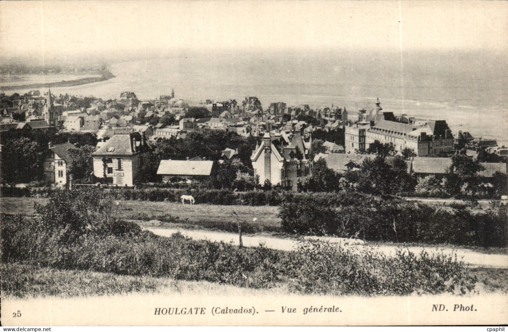CPA Houlgate Vue generale