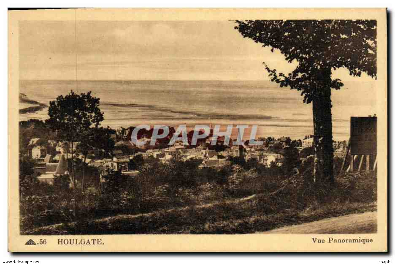 CPA Houlgate Vue Panoramique