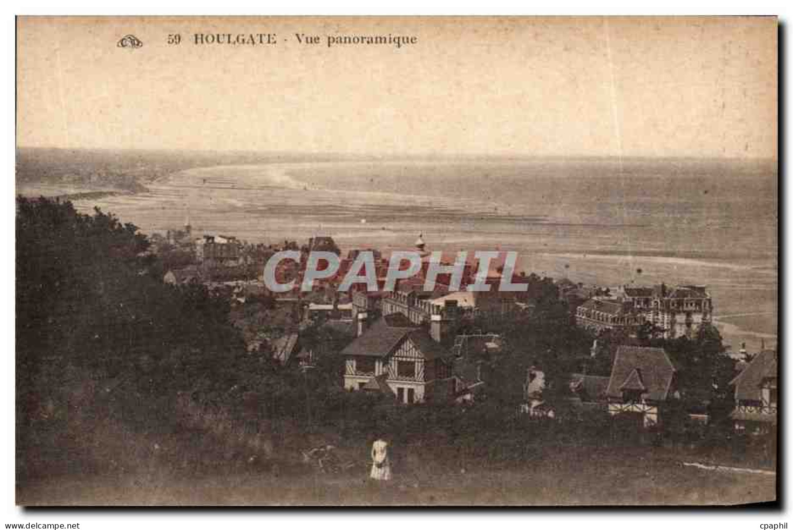 CPA Houlgate Vue panoramique