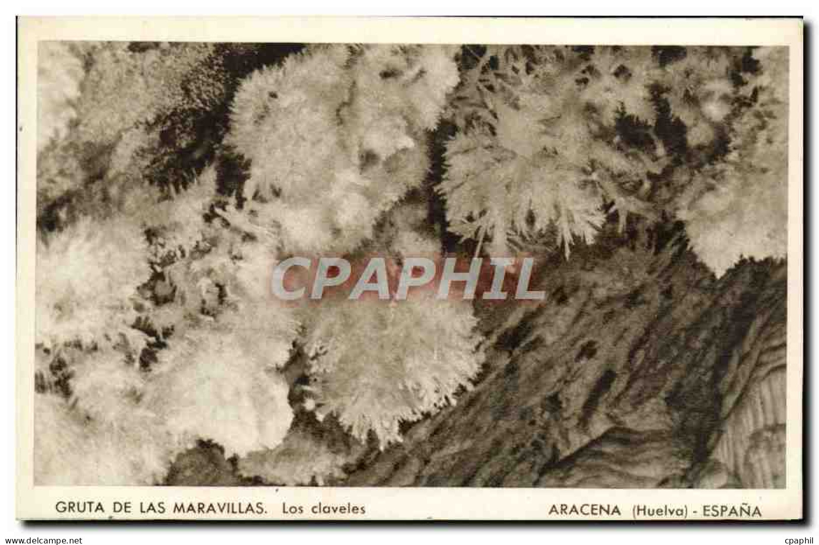 CPA Huelva Aracena Espana Gruta de las Maravillas Las Claveles