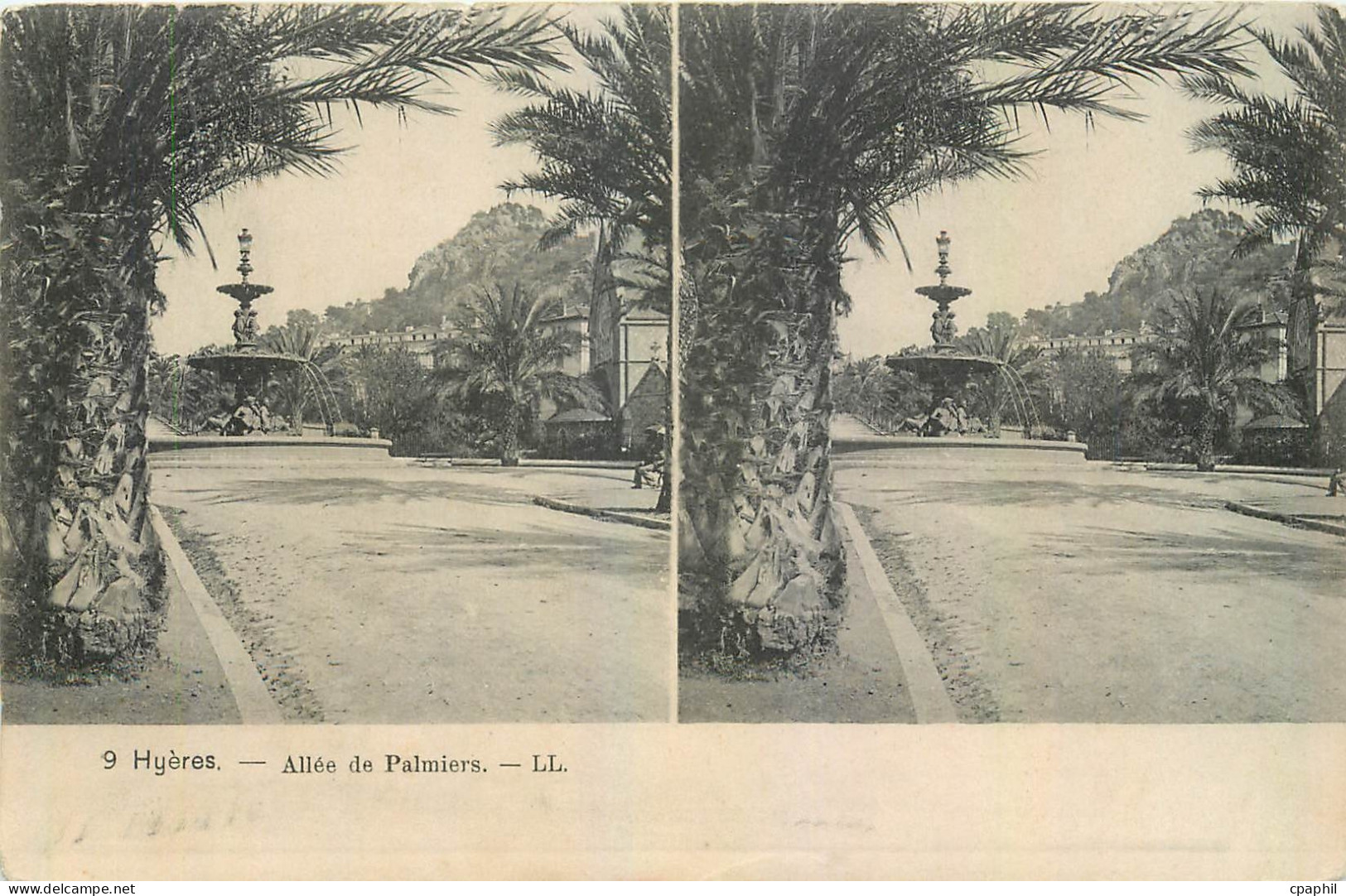 CPA Hyeres Allee de Palmiers