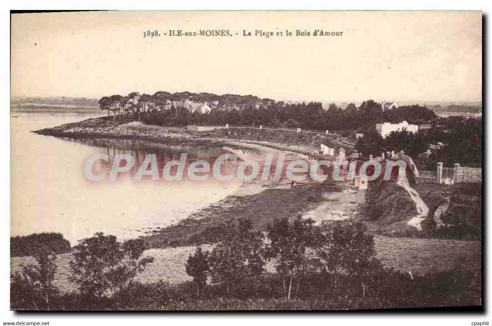 CPA Ile Aux Moines La Plage Et Le Bois D'Amour