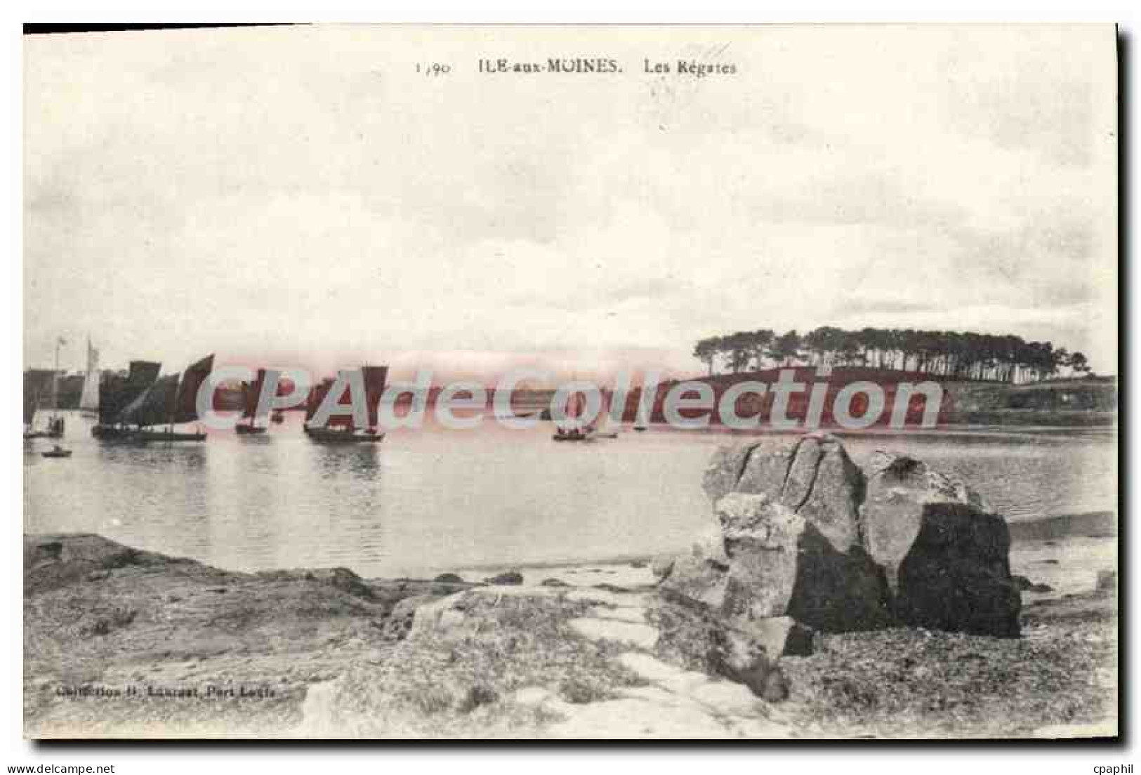 CPA Ile Aux Moines Les Regates