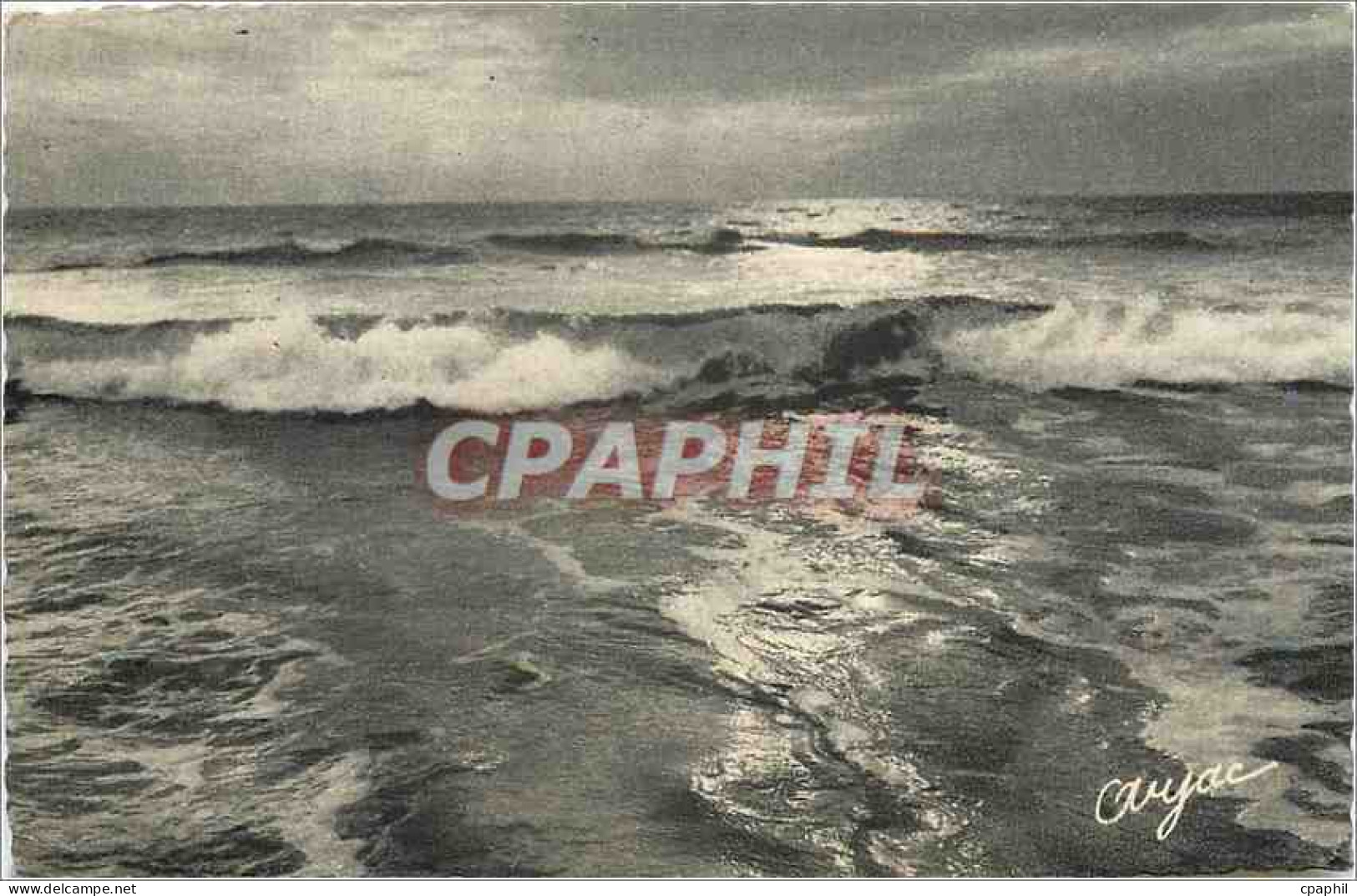 CPA Ile d'Oleron Cote Sauvage