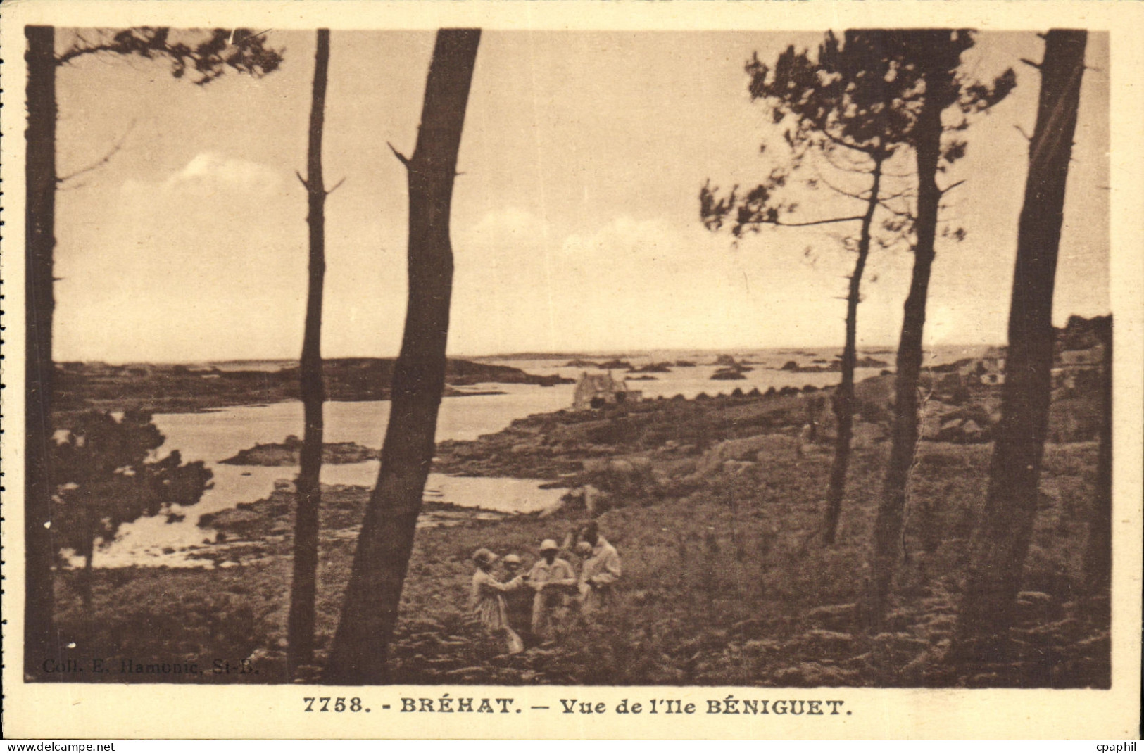 CPA Ile de Brehat Vue de l Ile Beniguet