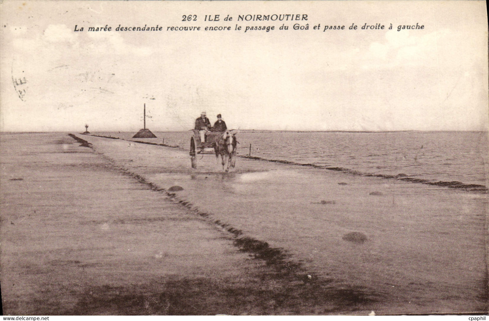 CPA Ile de Noirmoutier La Maree Descendante