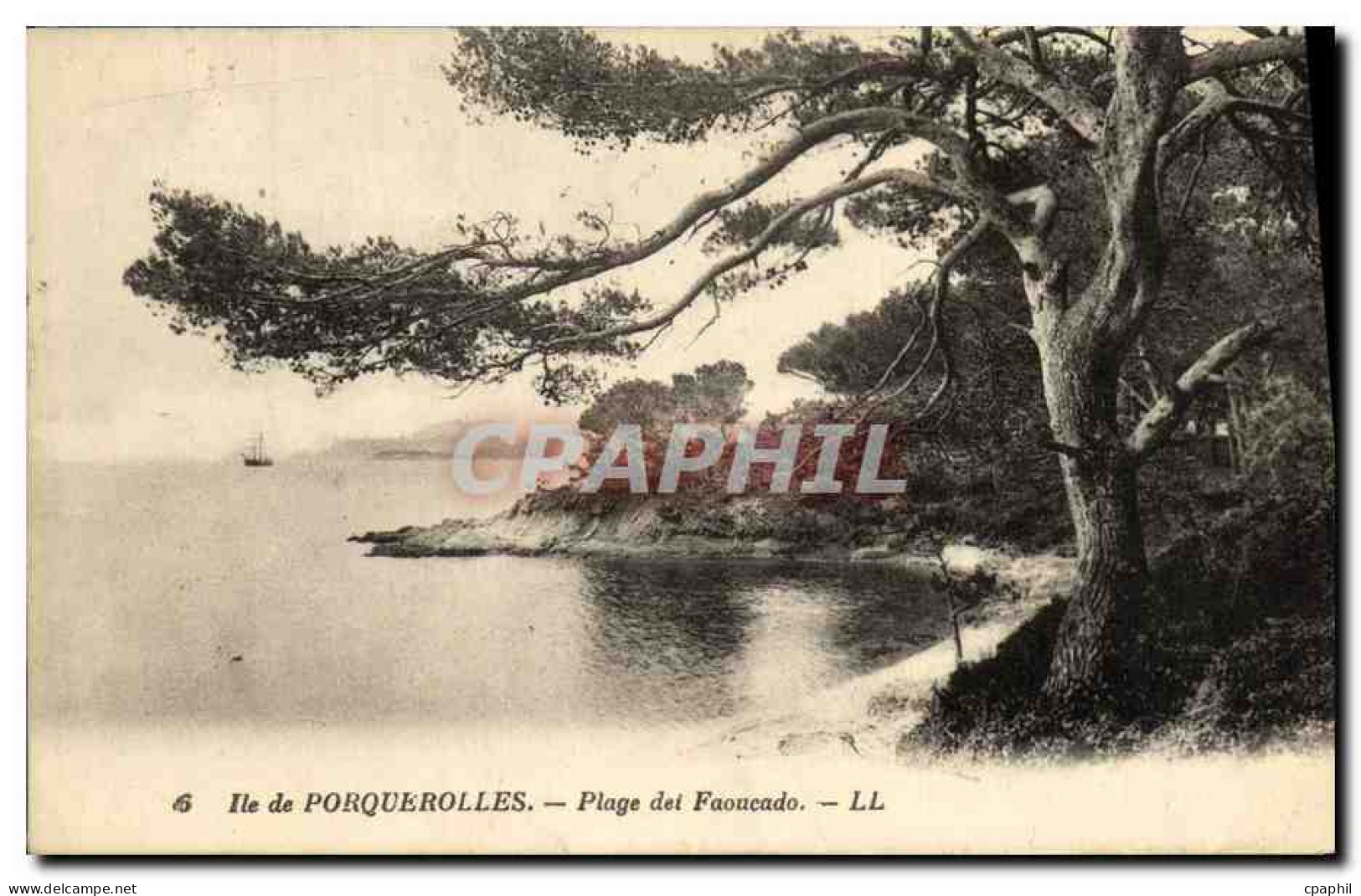 CPA Ile De Porquerolles La Plage dei Faoucado