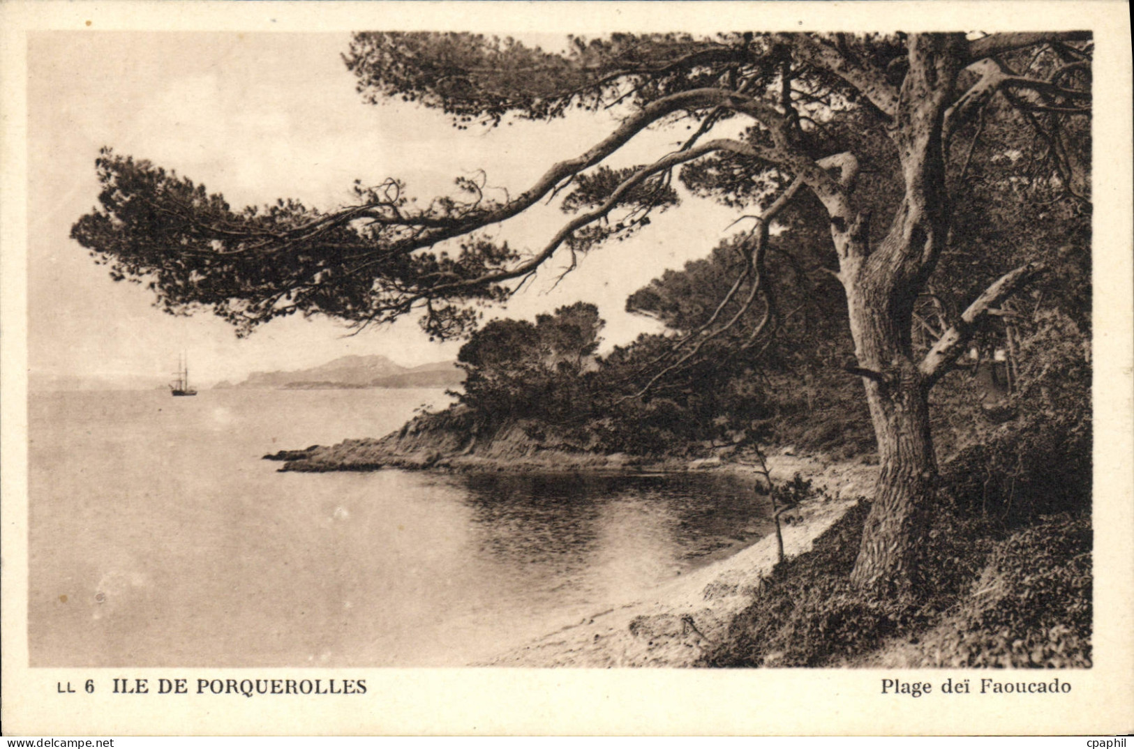 CPA Ile De Porquerolles Plage Deï Faoucado