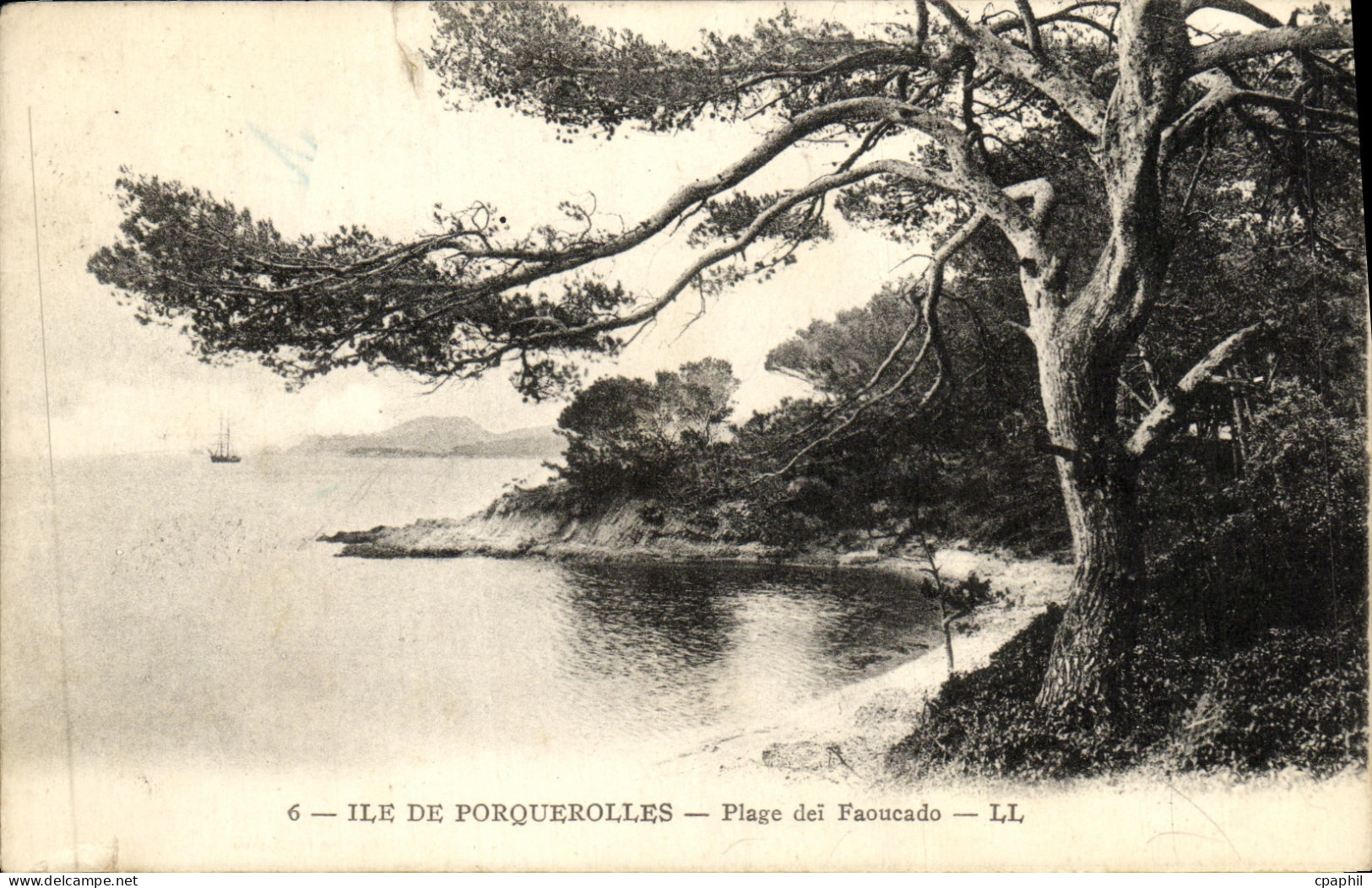 CPA Ile De Porquerolles Plage dei Faoucado
