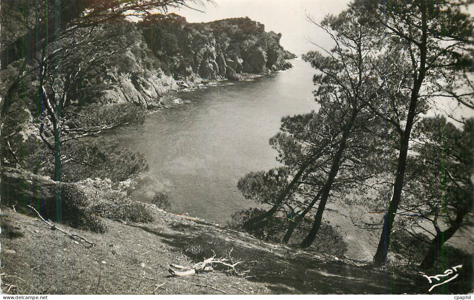 CPA Ile de Porquerolles Var la Grande Cale