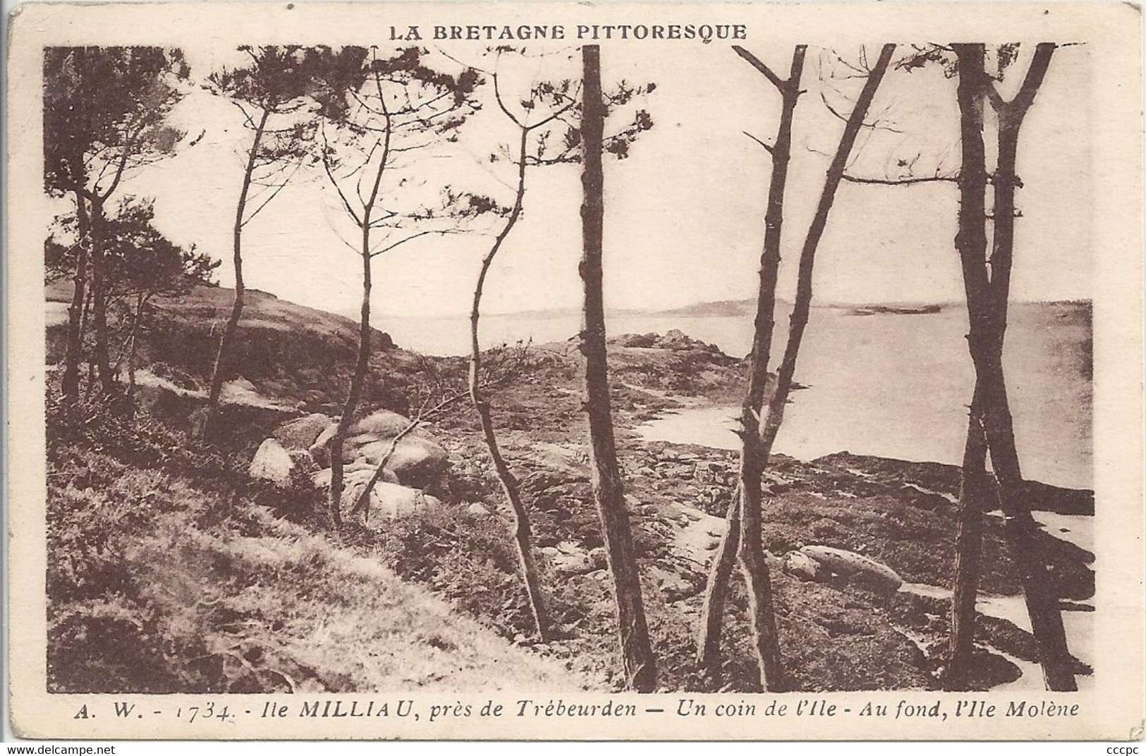 CPA Ile Milliau près de Trébeurden Un coin de l'Ile au fond l'Ile Molène