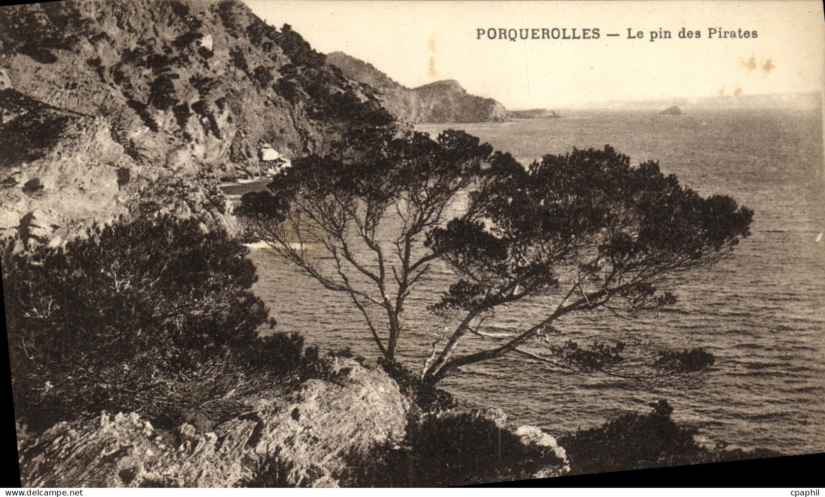 CPA Ile Porquerolles Le Pin des Pirates