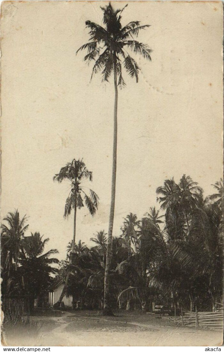 CPA INDONESIA Indonesia (341779)