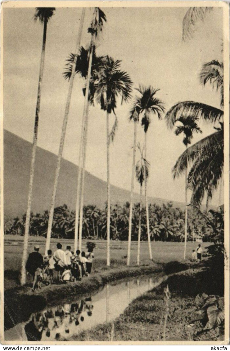 CPA INDONESIA Indonesia (341789)