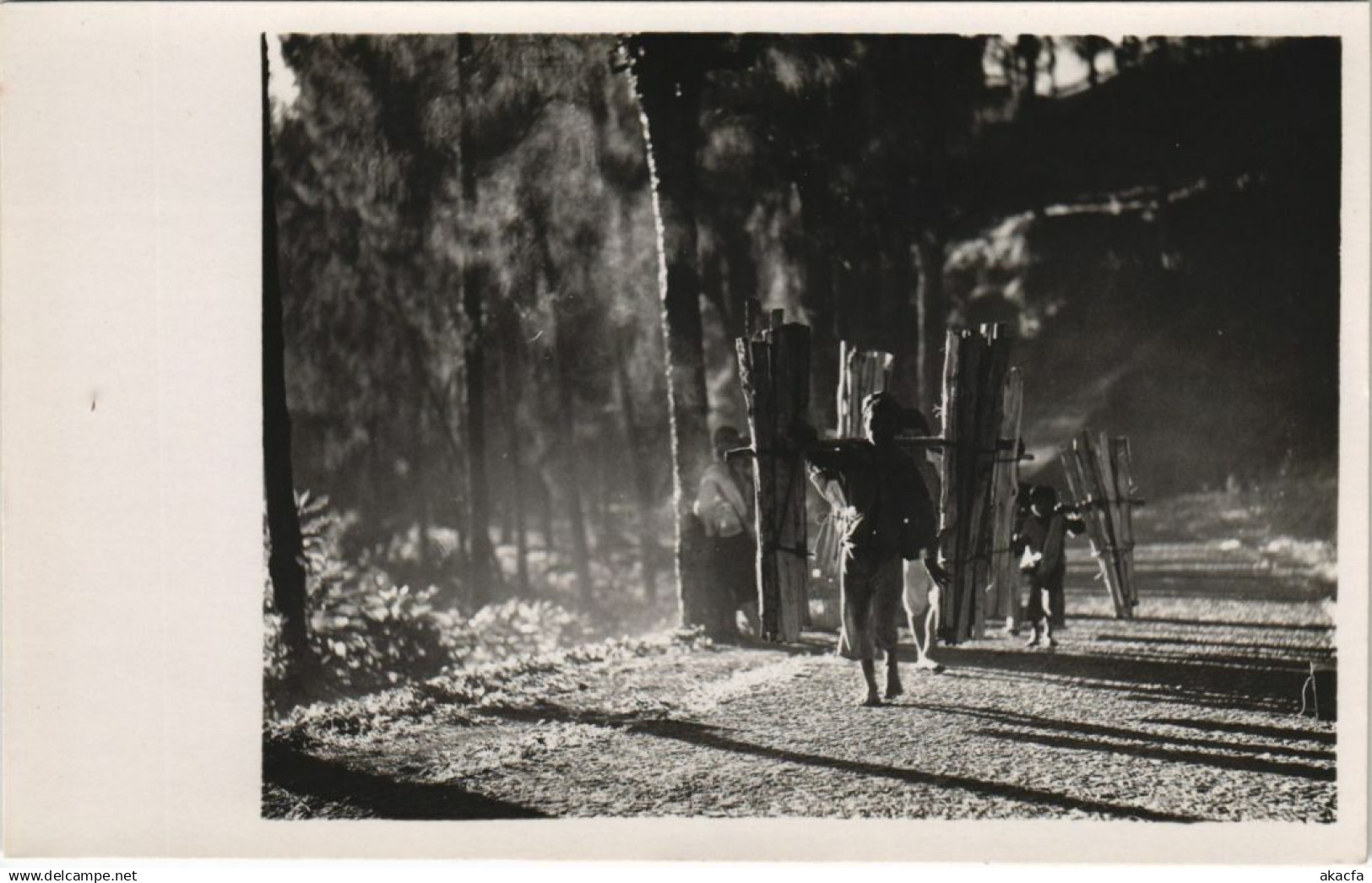 CPA INDONESIA Indonesia (341903)