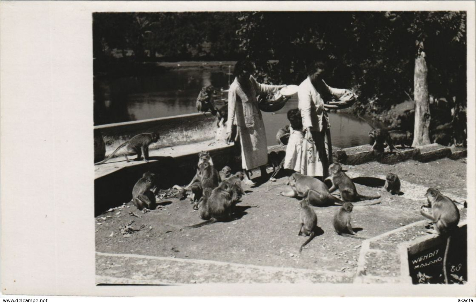 CPA INDONESIA Indonesia (341904)