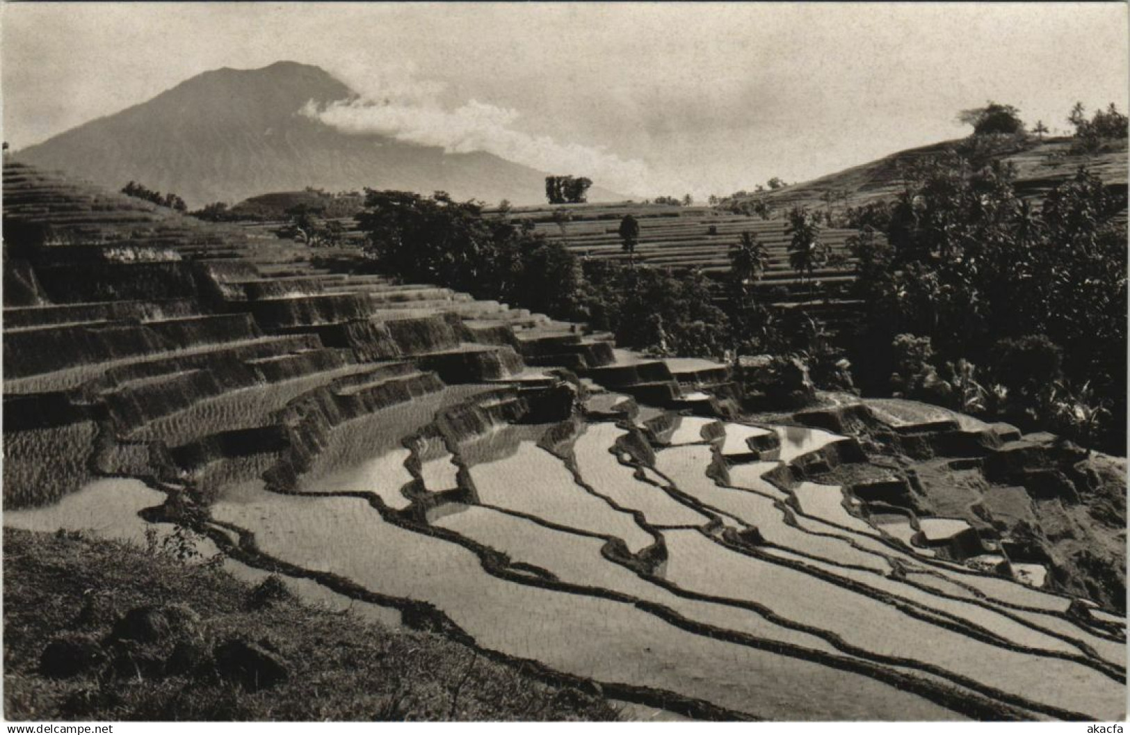 CPA INDONESIA Indonesia (342081)