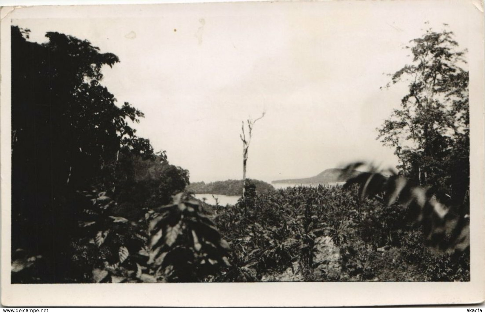 CPA INDONESIA Indonesia carte photo (341320)