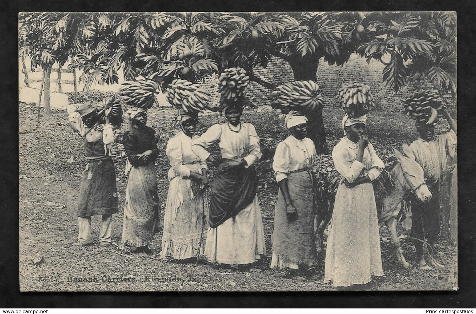CPA Jamaïque Kingston Banana carriers