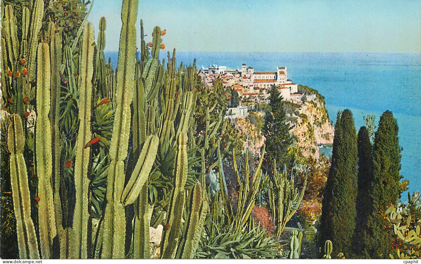 CPA Jardin exotique de Monaco Vue sur le rocher de Monaco Cereus Aloes et opuntia divers