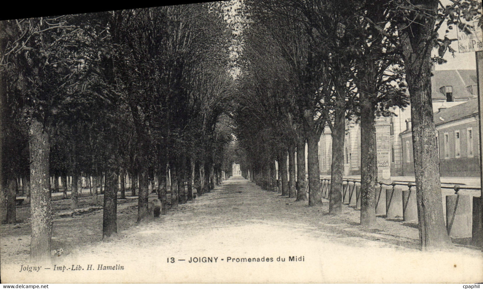 CPA Joigny Promenades Du Midi