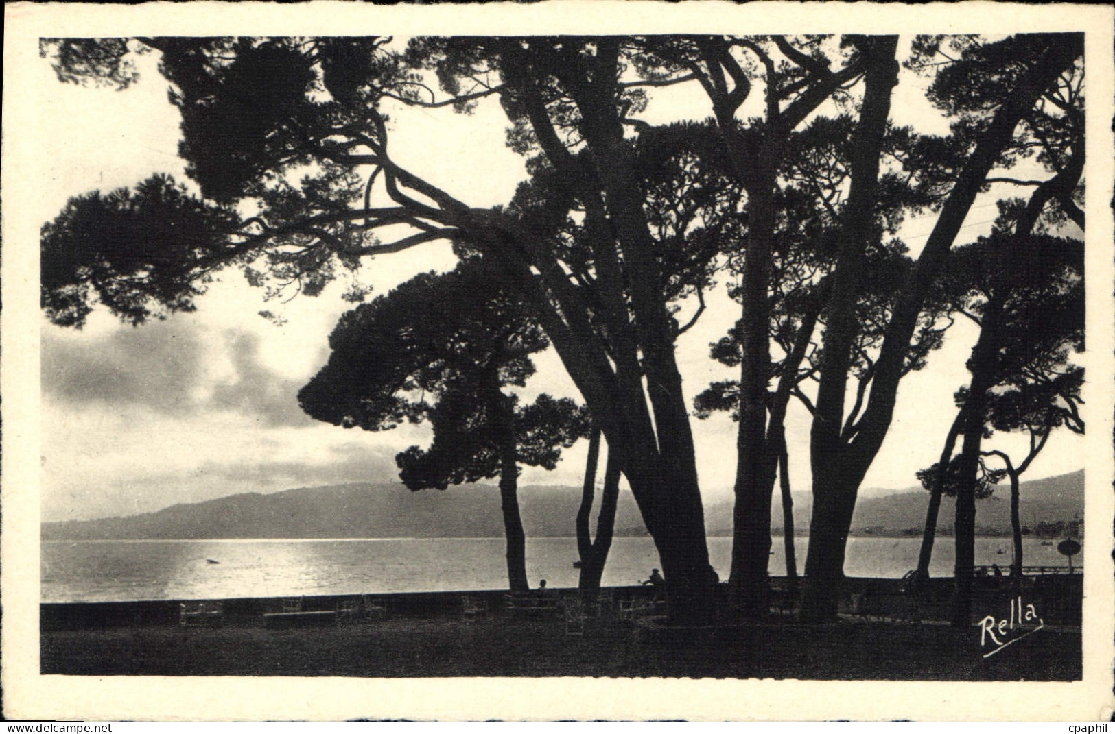 CPA Juan les Pins Contre jour sur la Pinede