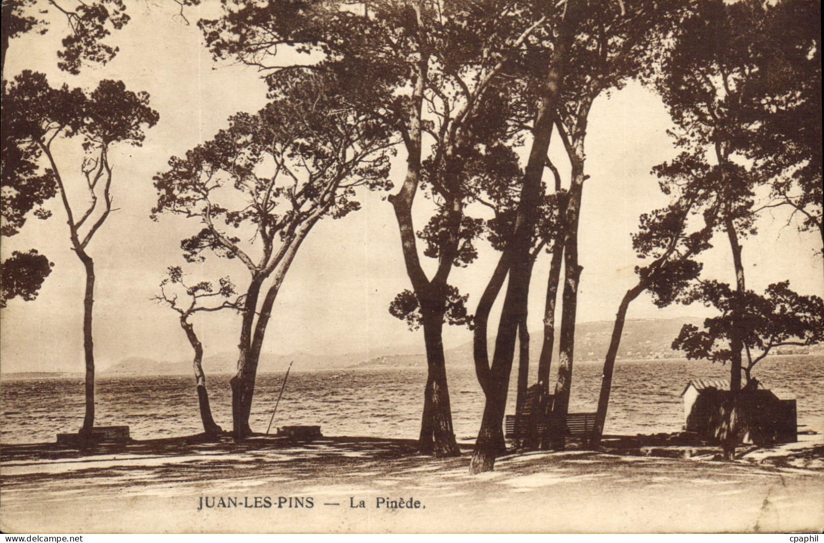 CPA Juan les Pins la Pinede