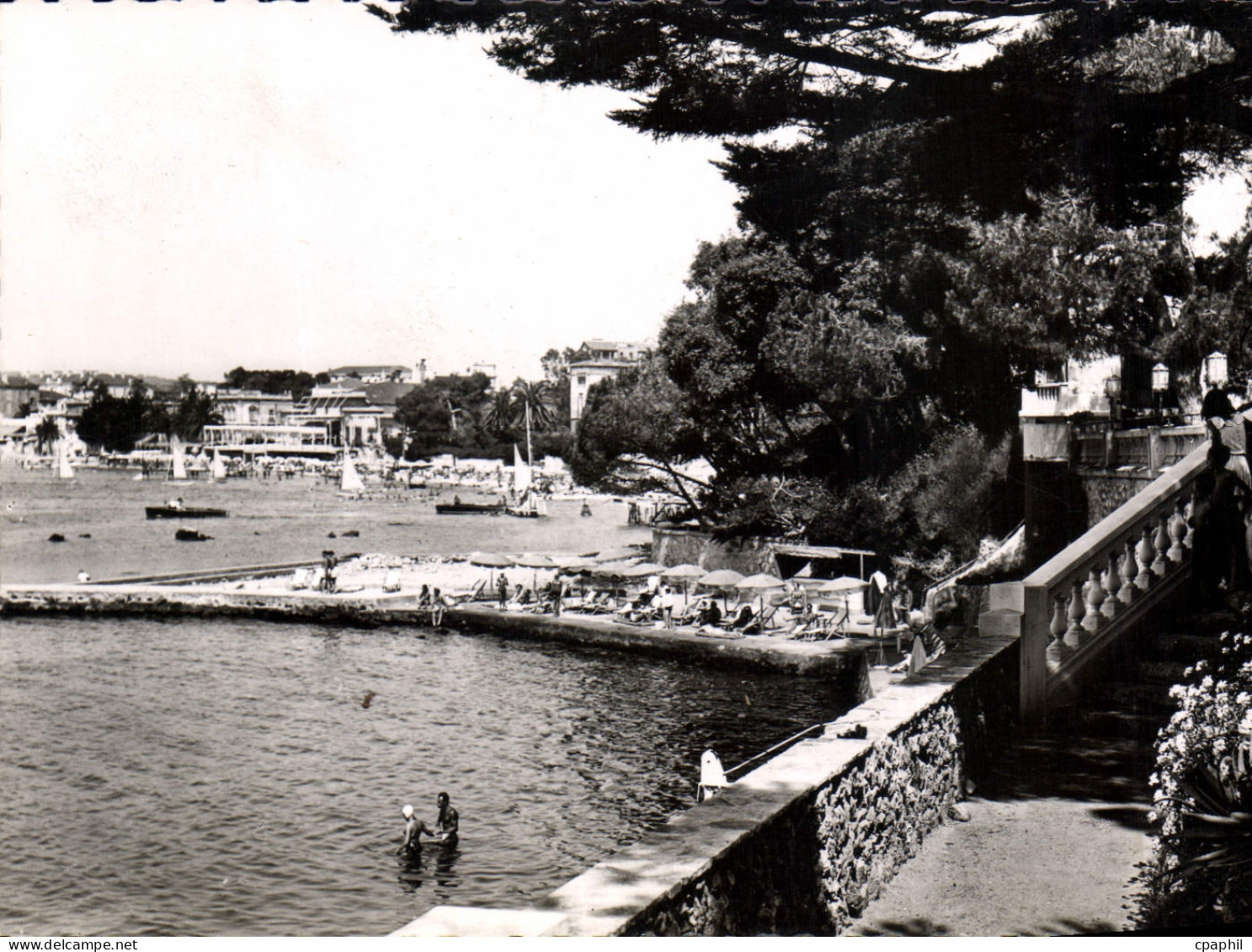 CPA Juan Les Pins La Plage Belles Rives