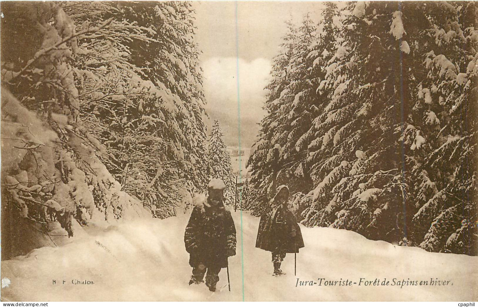 CPA Jura Touriste Foret de Sapins en hiver
