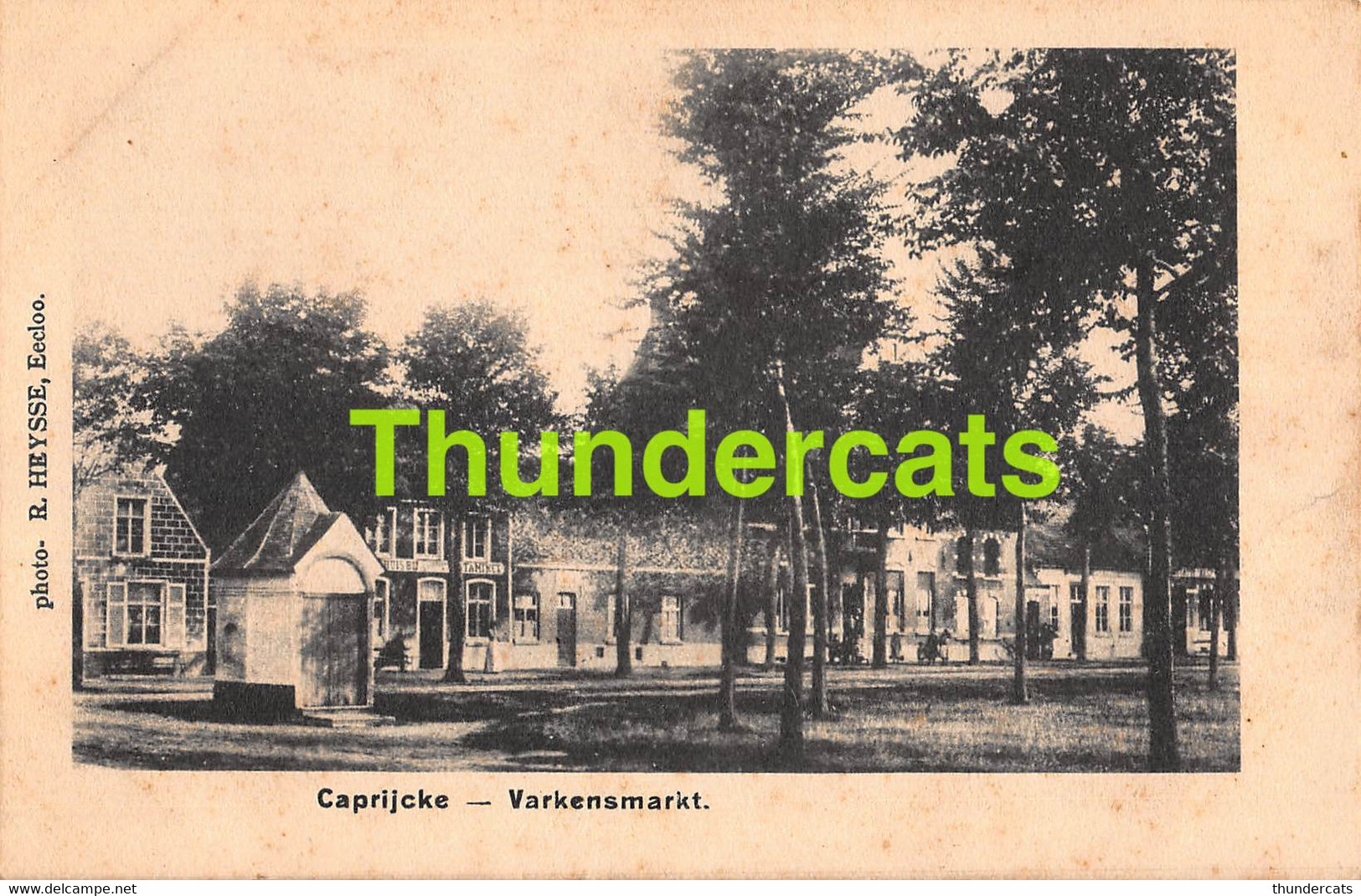 CPA KAPRIJKE CAPRYCKE CAPRIJCKE KAPRYCKE VARKENSMARKT