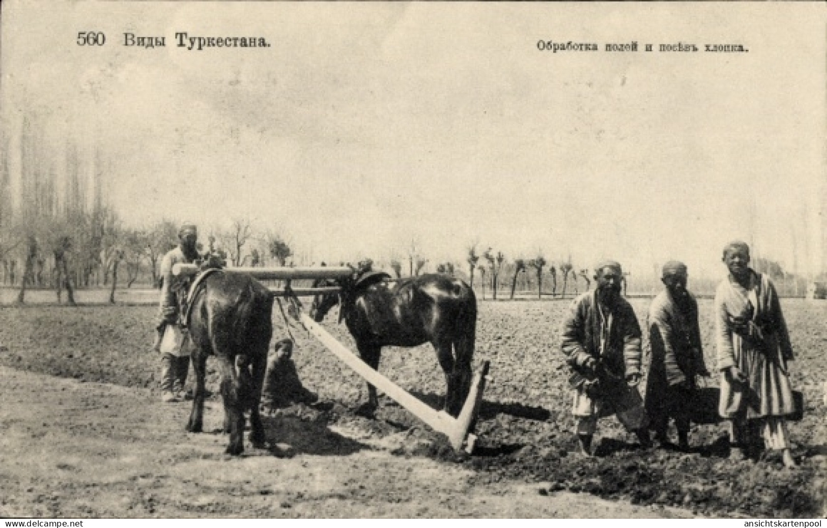 CPA Kasachstan, Bauern, Pflug, Landwirtschaft