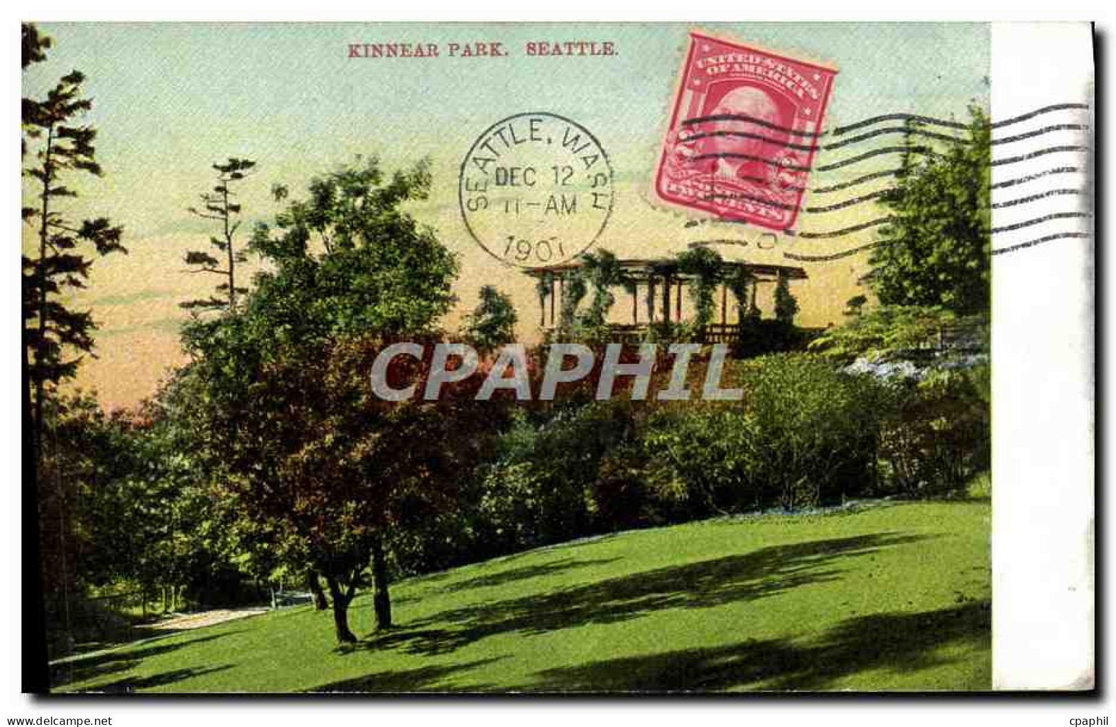 CPA Kinner Park Seattle