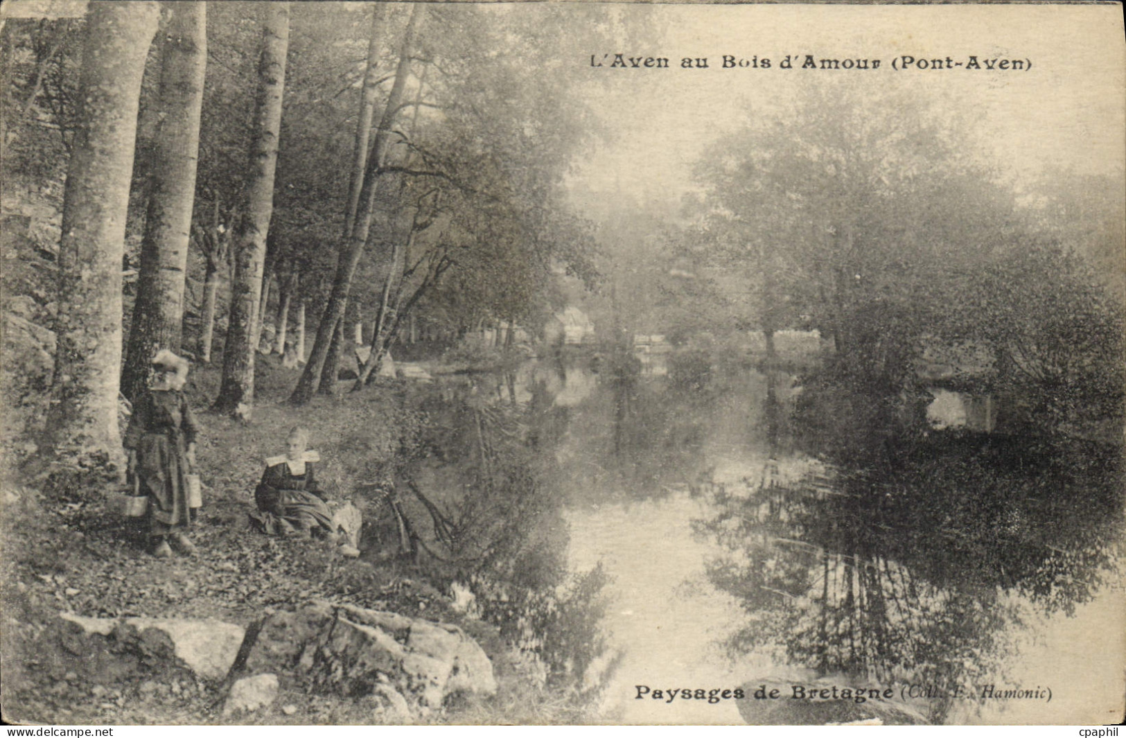 CPA l'Aven au Bois d'Amour Pont Aven