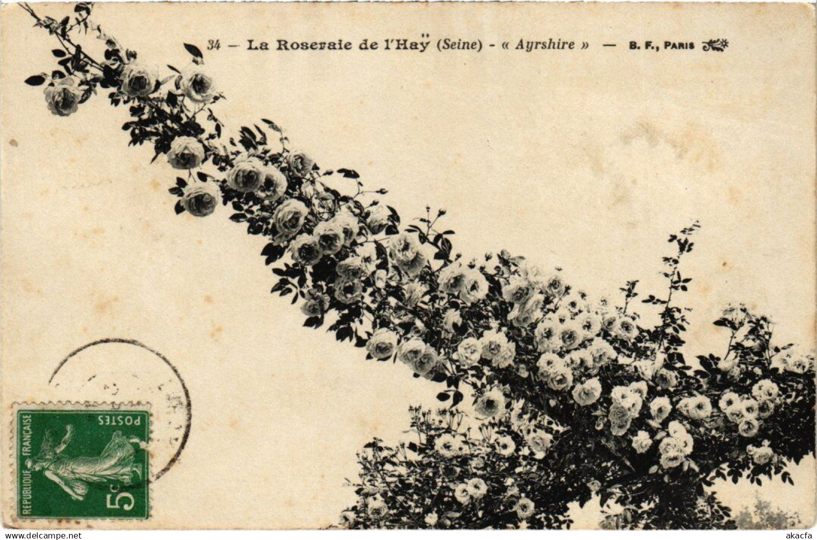 CPA L'Hay les Roses Roseraie Ayrshire (1348955)