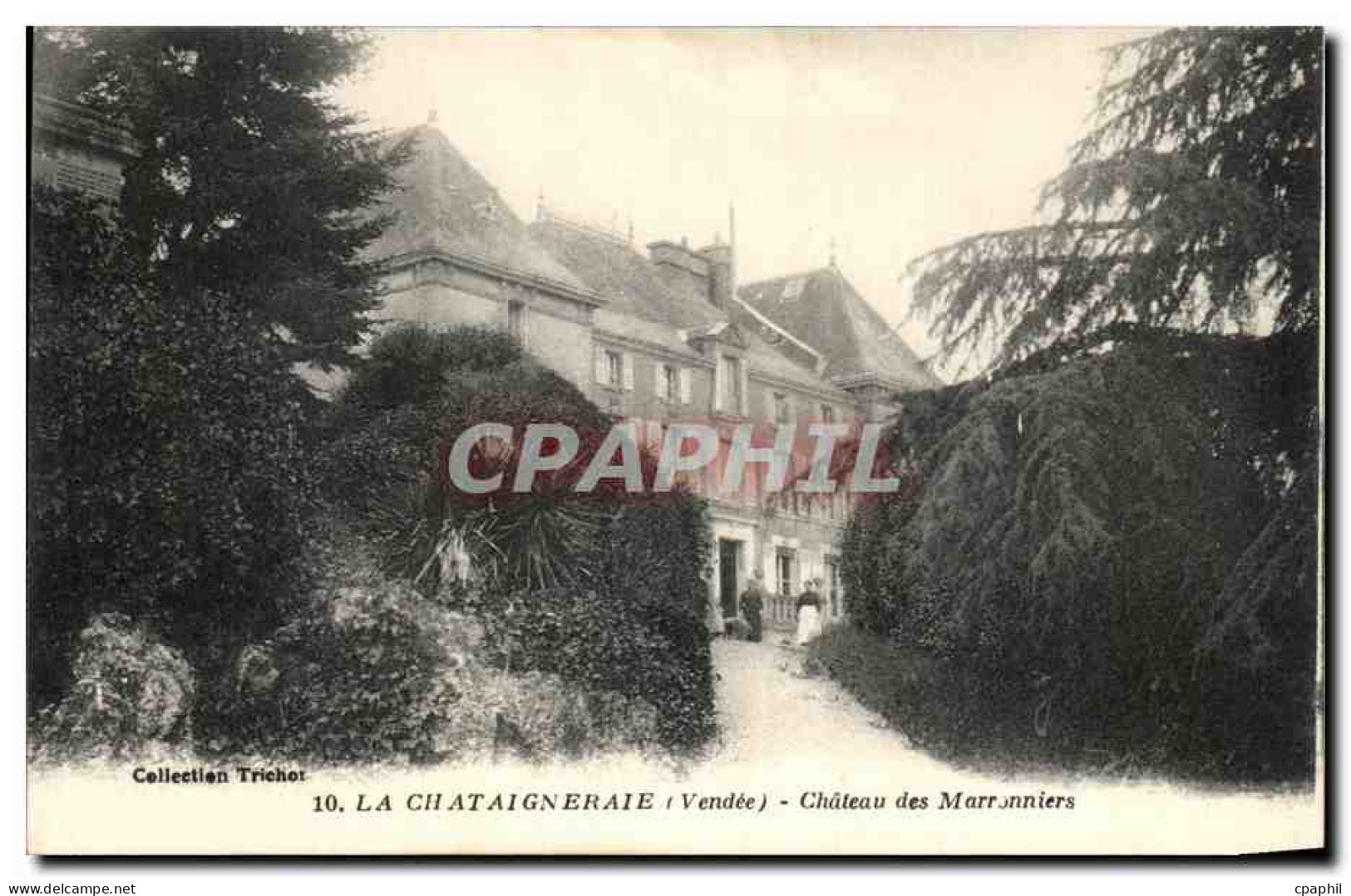 CPA La Chataigneraie Chateau des Pont Marronniers
