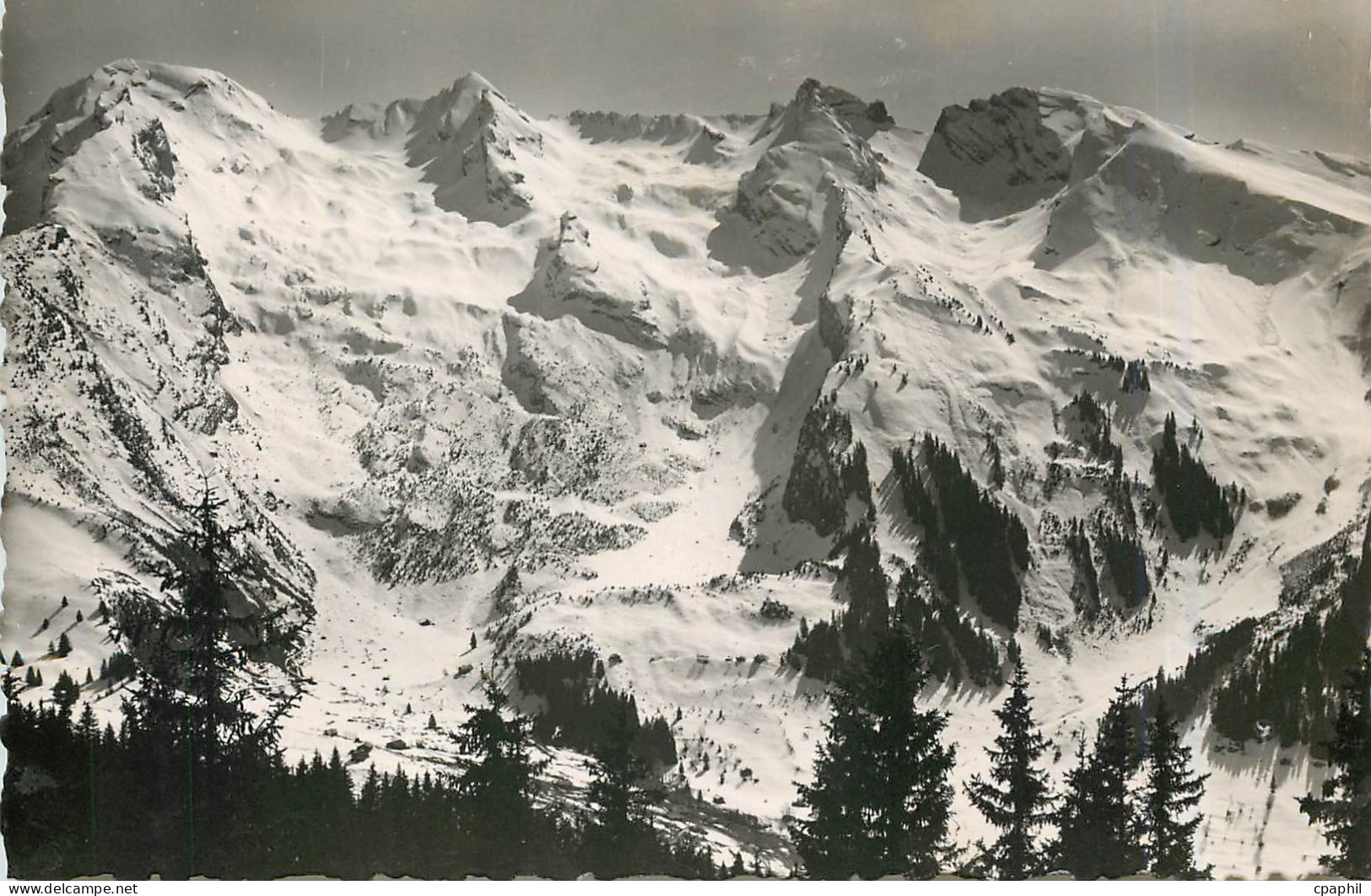 CPA LA CLUSAZ(1040) LES MQGNIFIQUES TERRINS DES COMBES DES RAVIS