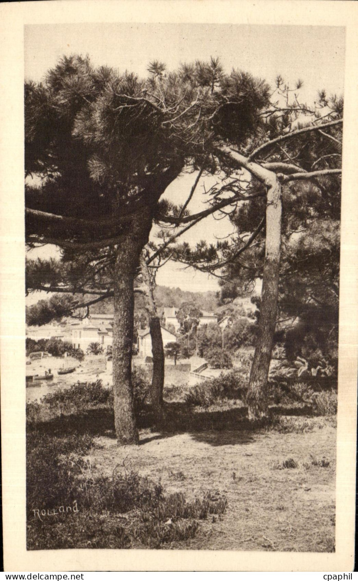 CPA La Corniche des Maures Le Lavandou