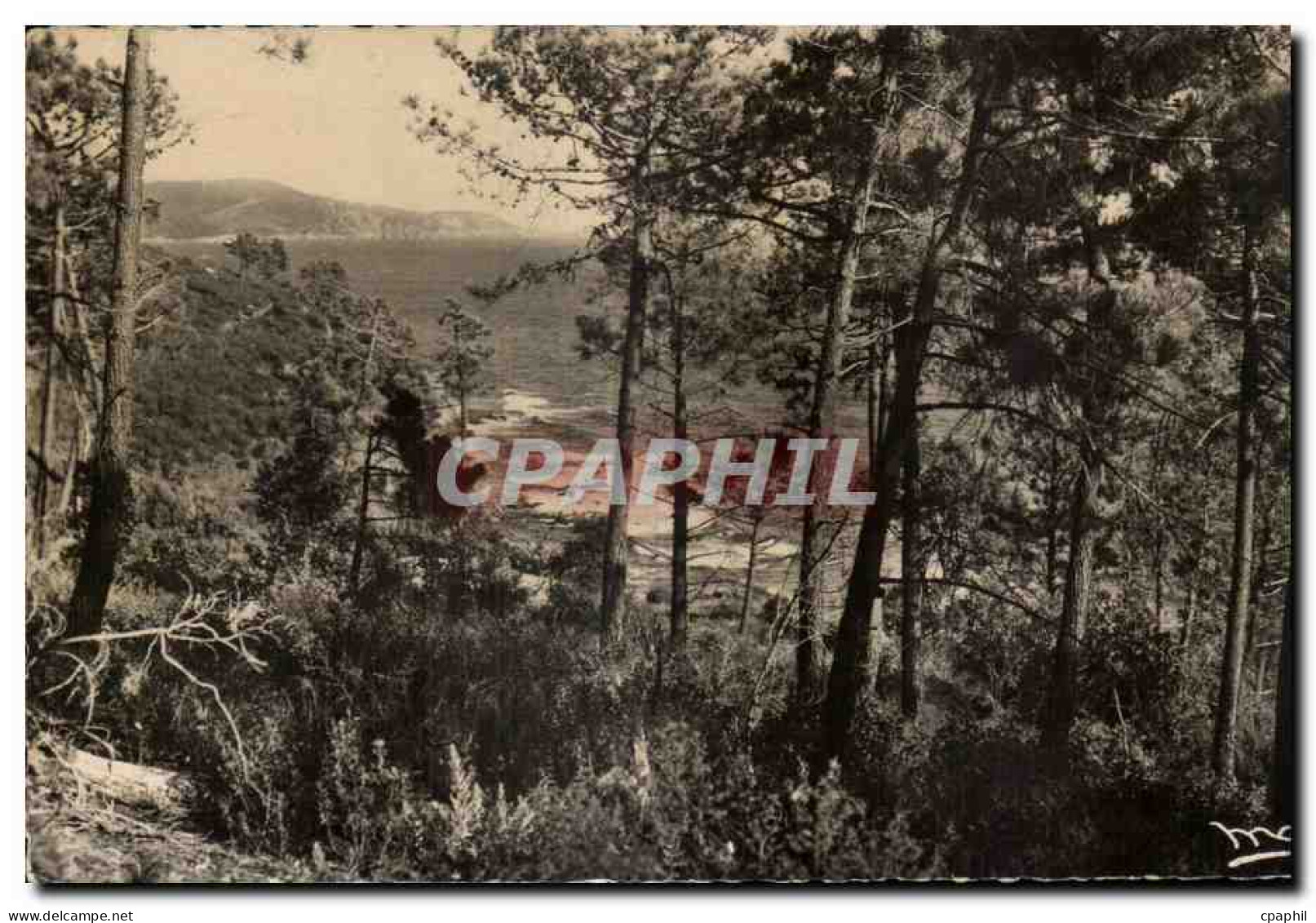 CPA La Cote D Azur Cavalaire sur Mer Bon Perlo