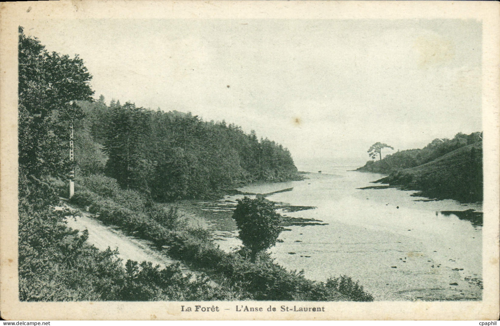 CPA La Foret L'Anse de St Laurent