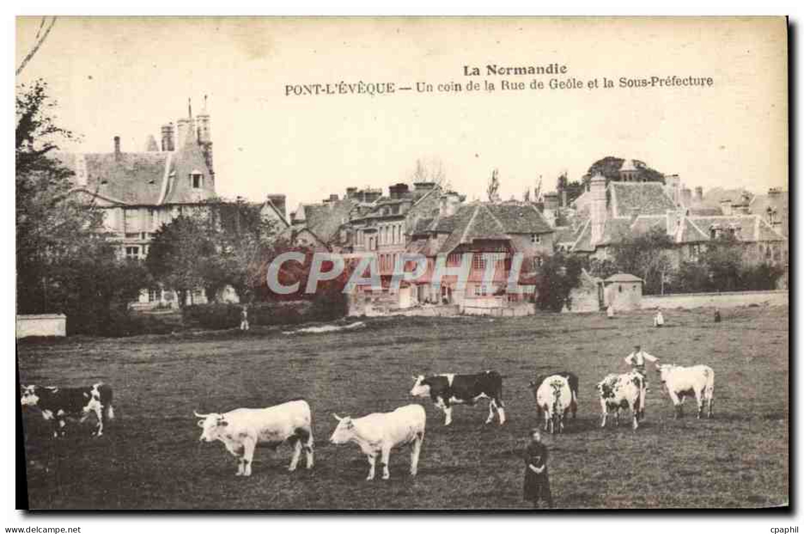 CPA La normandie Pont L'Eveque un coin de la rue de geole et la Sous Prefecture Vaches