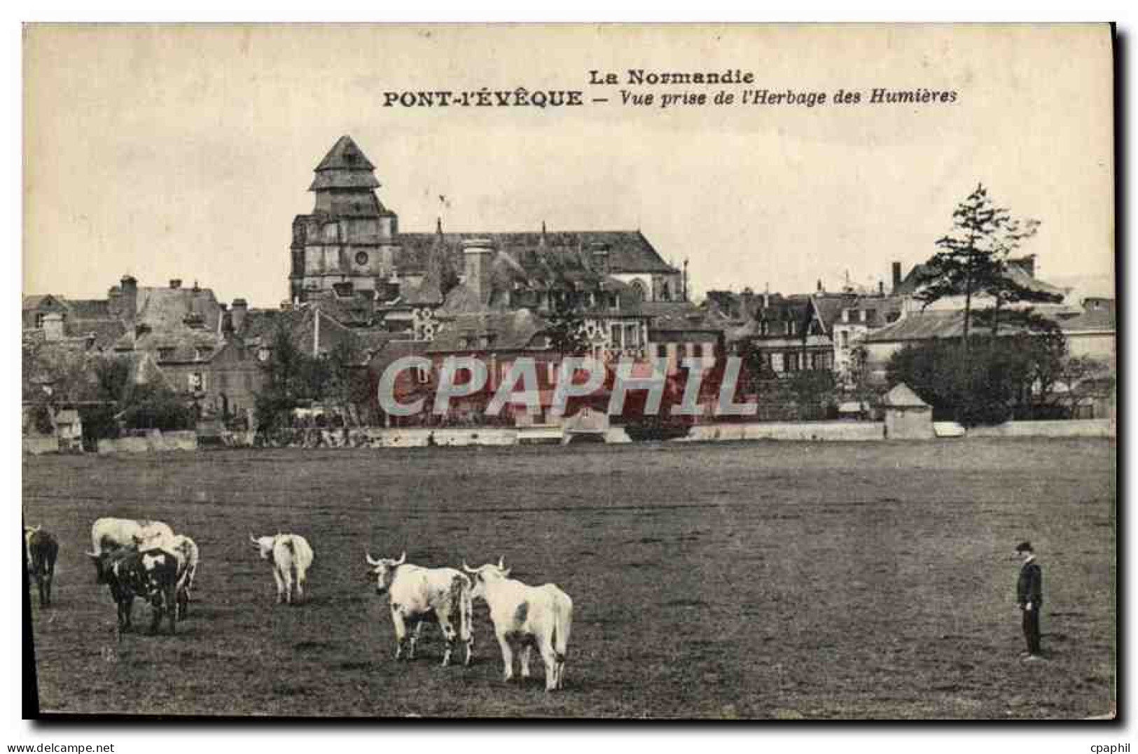 CPA La Normandie Pont L'Eveque vue prise de l'herbage des Hunieres Vaches
