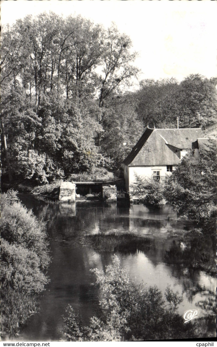 CPA La Roche Posay L'Ancien Moulin et la Creuse