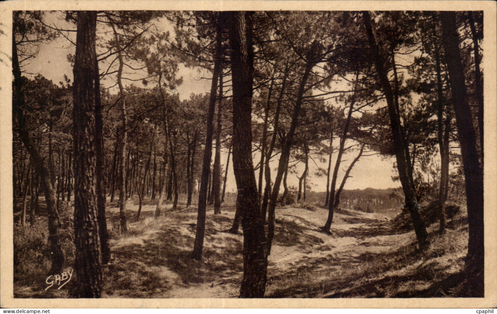 CPA La Tranche Sur Mer (Vendee) La Foret